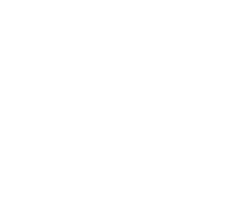 Aliança Francesa